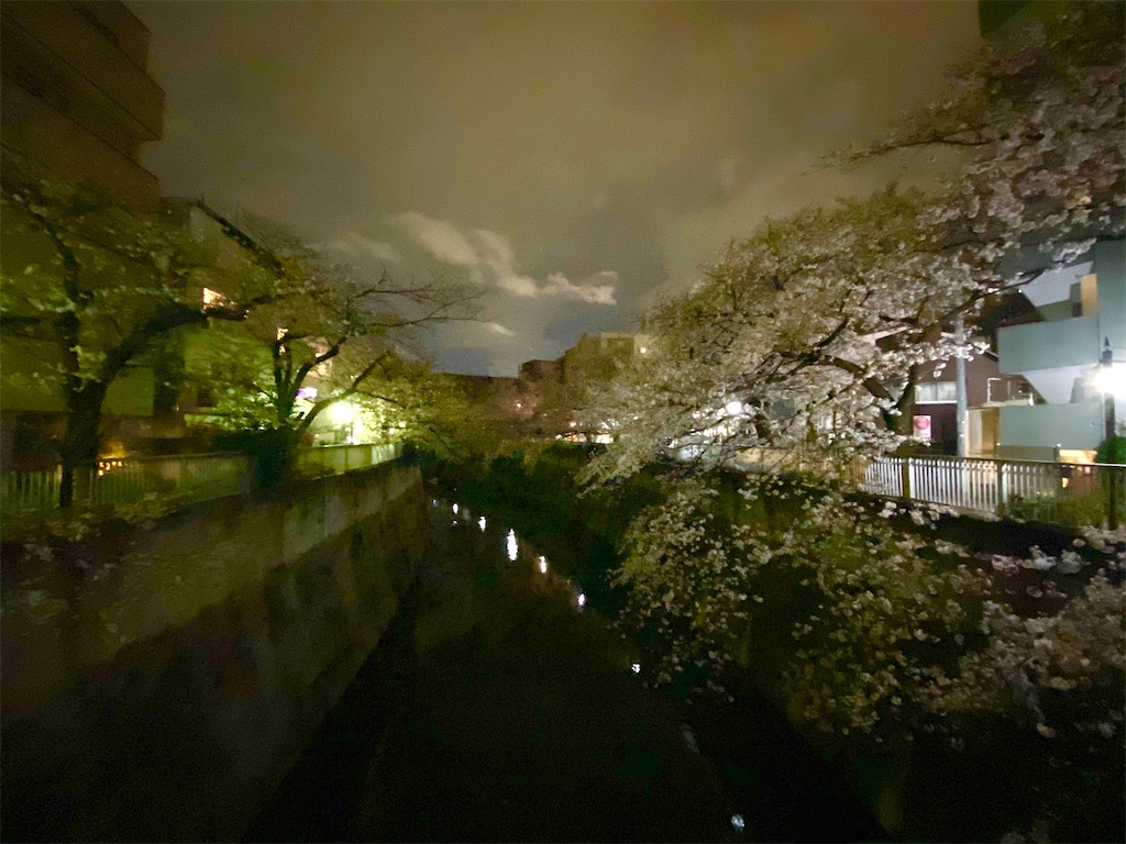 f:id:CHASSESPLEEN:20200327193800j:image