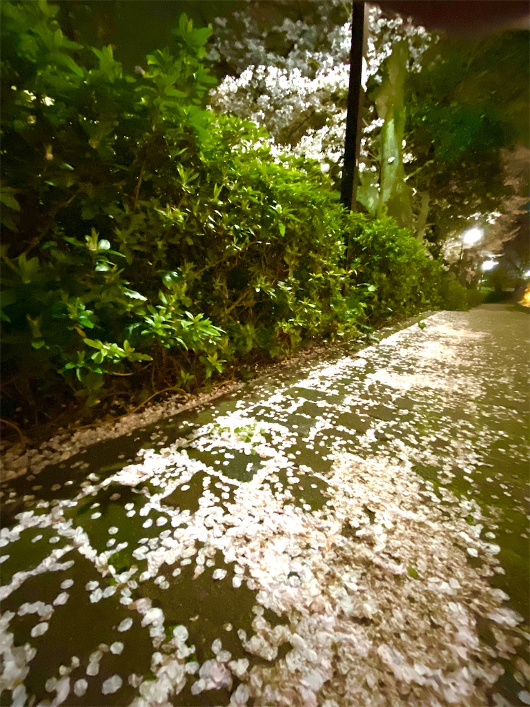 f:id:CHASSESPLEEN:20200327193811j:image