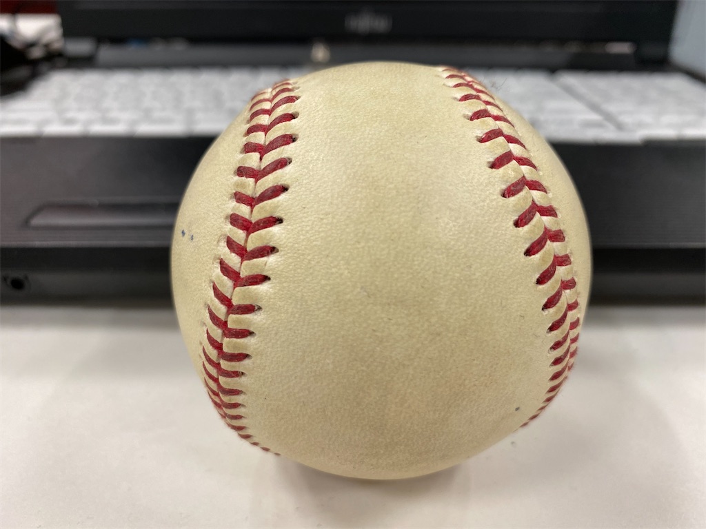 f:id:CHASSESPLEEN:20200328133814j:image