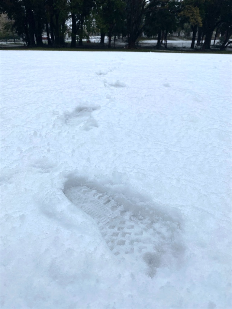 f:id:CHASSESPLEEN:20200329151536j:image