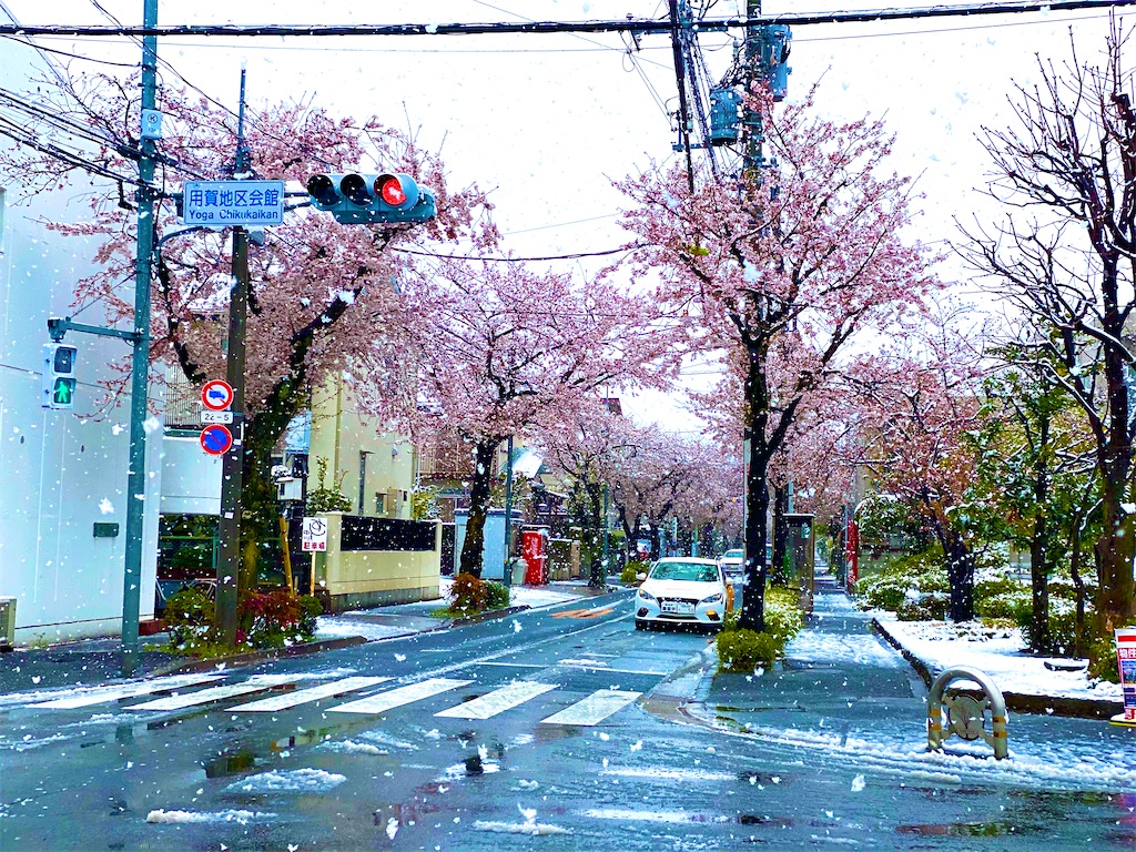 f:id:CHASSESPLEEN:20200329151841j:image