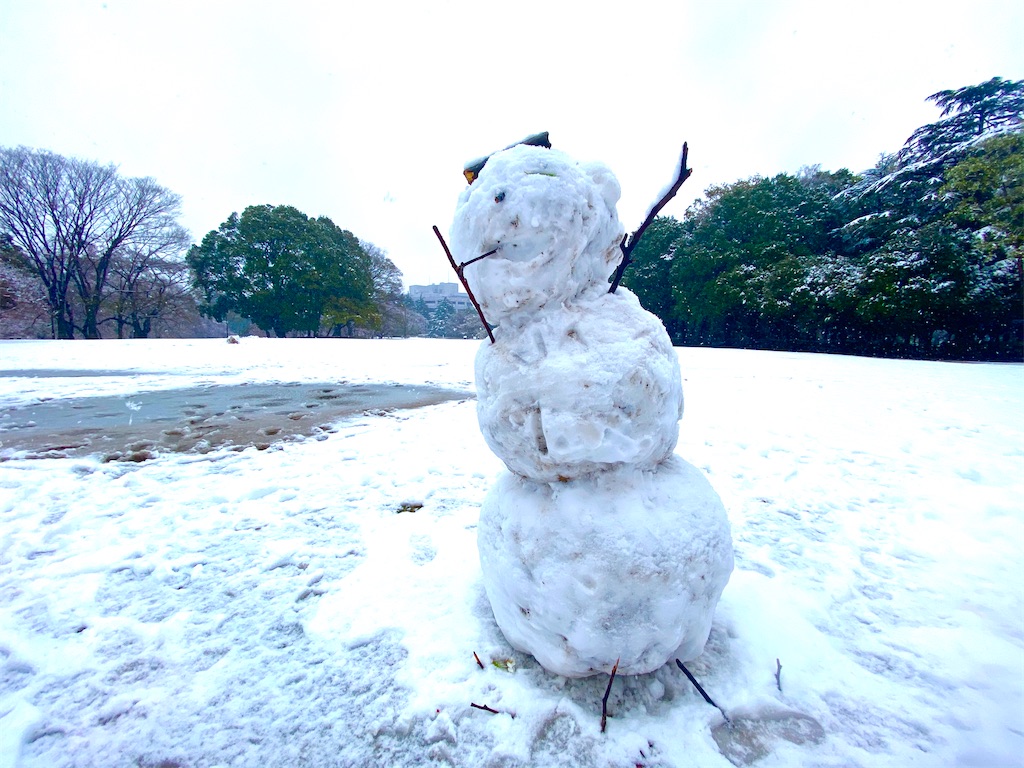 f:id:CHASSESPLEEN:20200329151845j:image