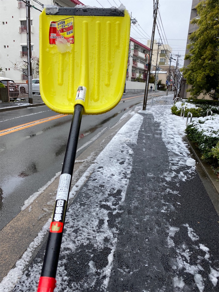 f:id:CHASSESPLEEN:20200329151929j:image