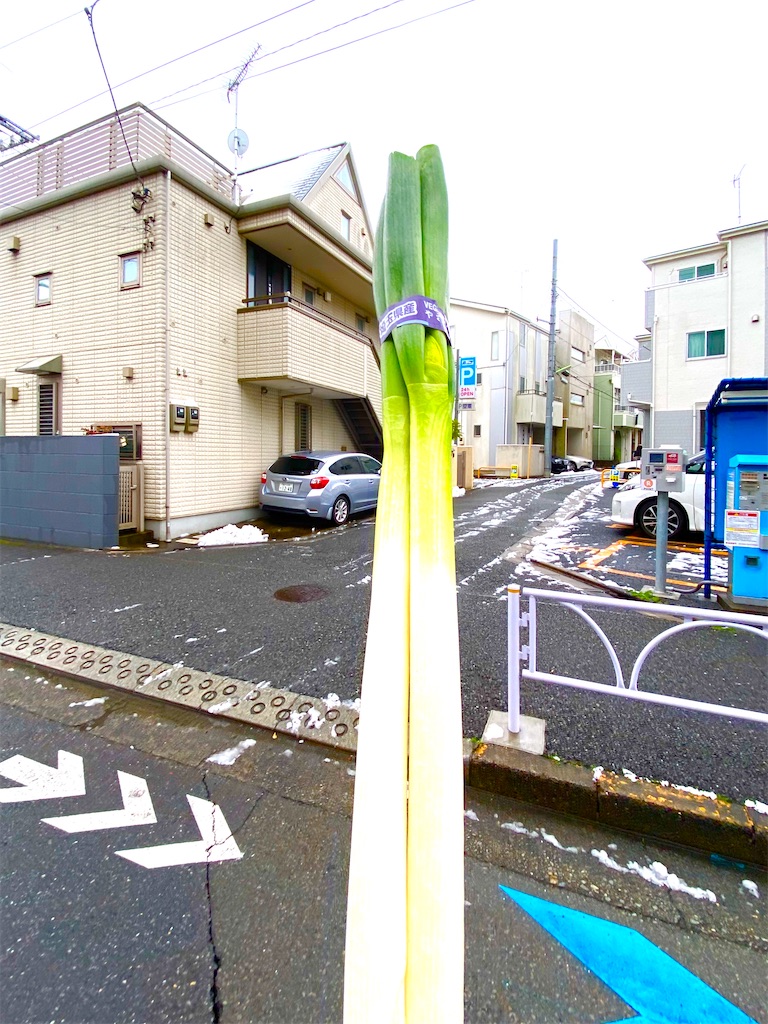 f:id:CHASSESPLEEN:20200329170018j:image