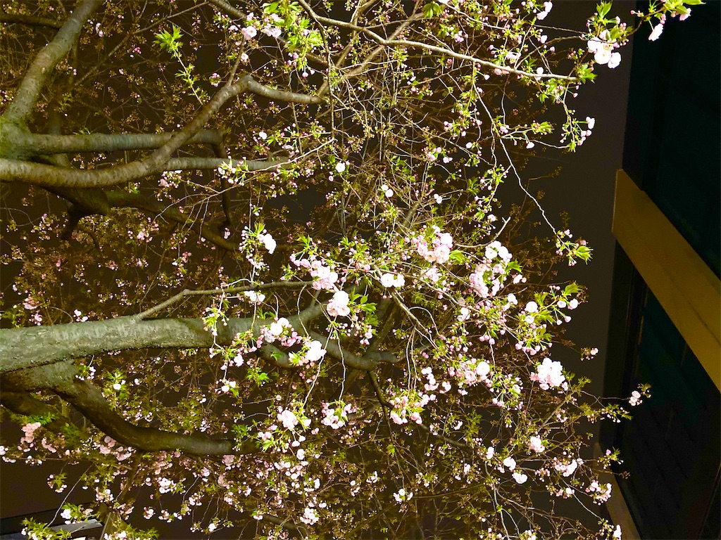 f:id:CHASSESPLEEN:20200330220909j:image