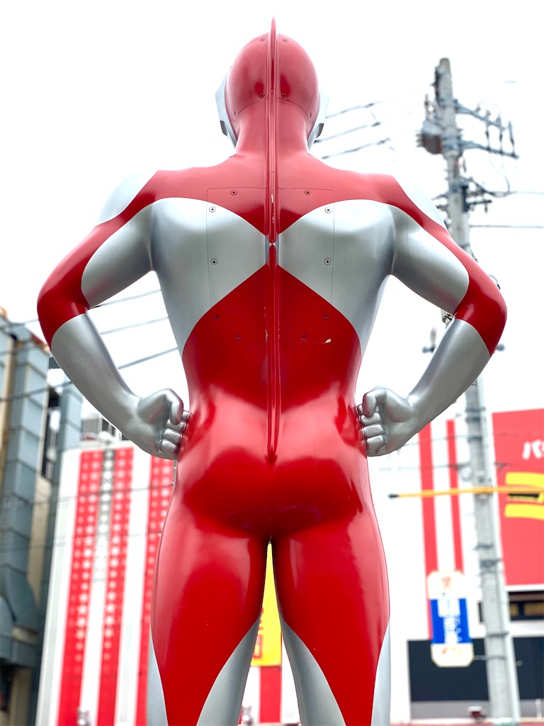 f:id:CHASSESPLEEN:20200509155842j:image