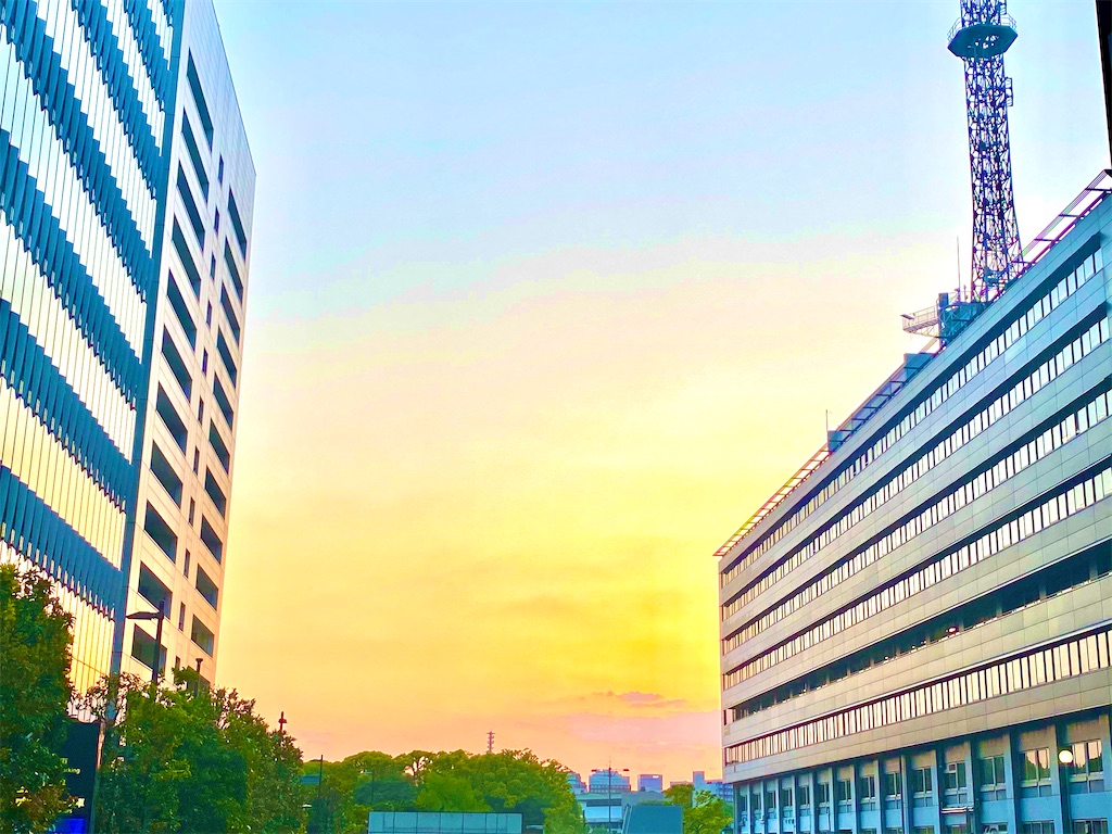 f:id:CHASSESPLEEN:20200513184209j:image