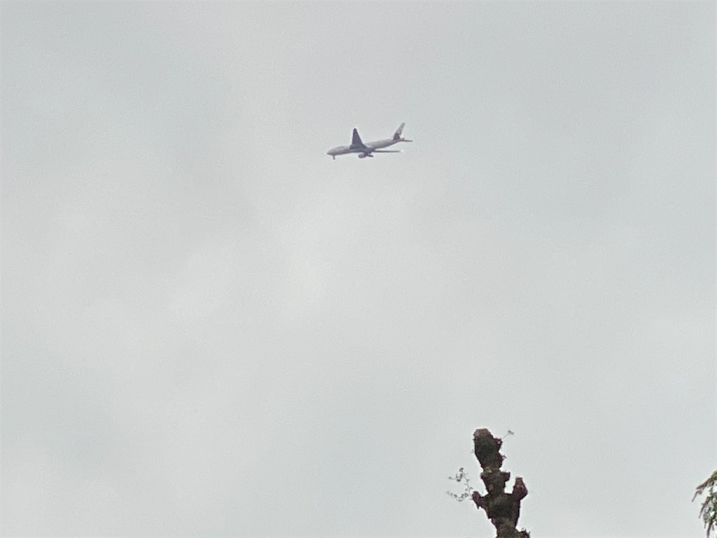 f:id:CHASSESPLEEN:20200515212235j:image