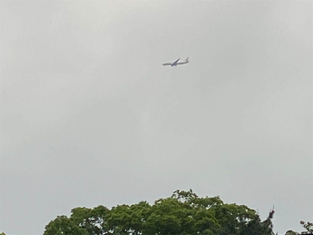 f:id:CHASSESPLEEN:20200515212238j:image