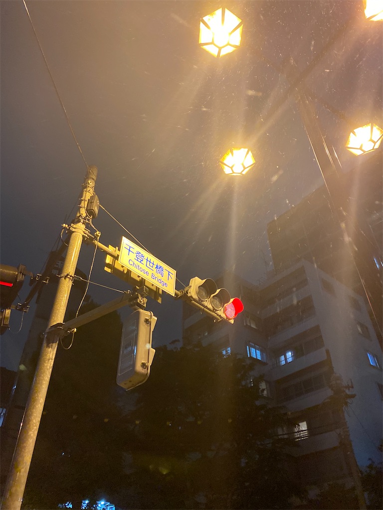 f:id:CHASSESPLEEN:20200519215517j:image