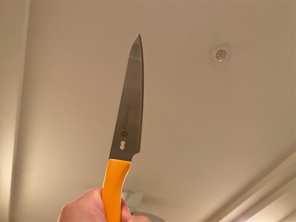 f:id:CHASSESPLEEN:20200619231428j:image