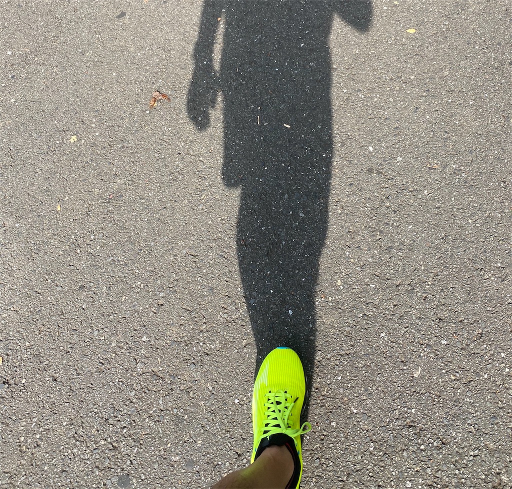 f:id:CHASSESPLEEN:20200823154404j:image