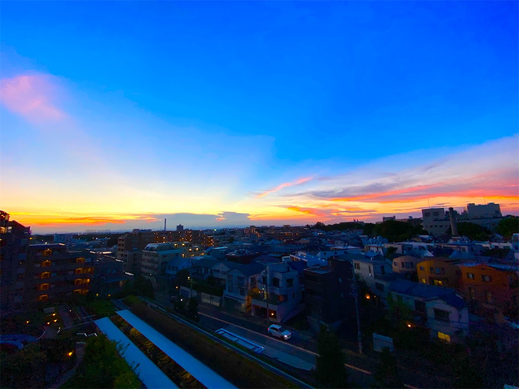 f:id:CHASSESPLEEN:20200829190328j:image