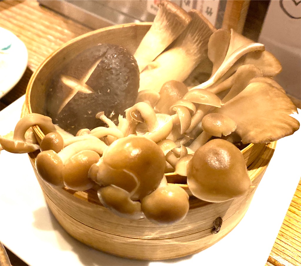 f:id:CHASSESPLEEN:20201031201952j:image