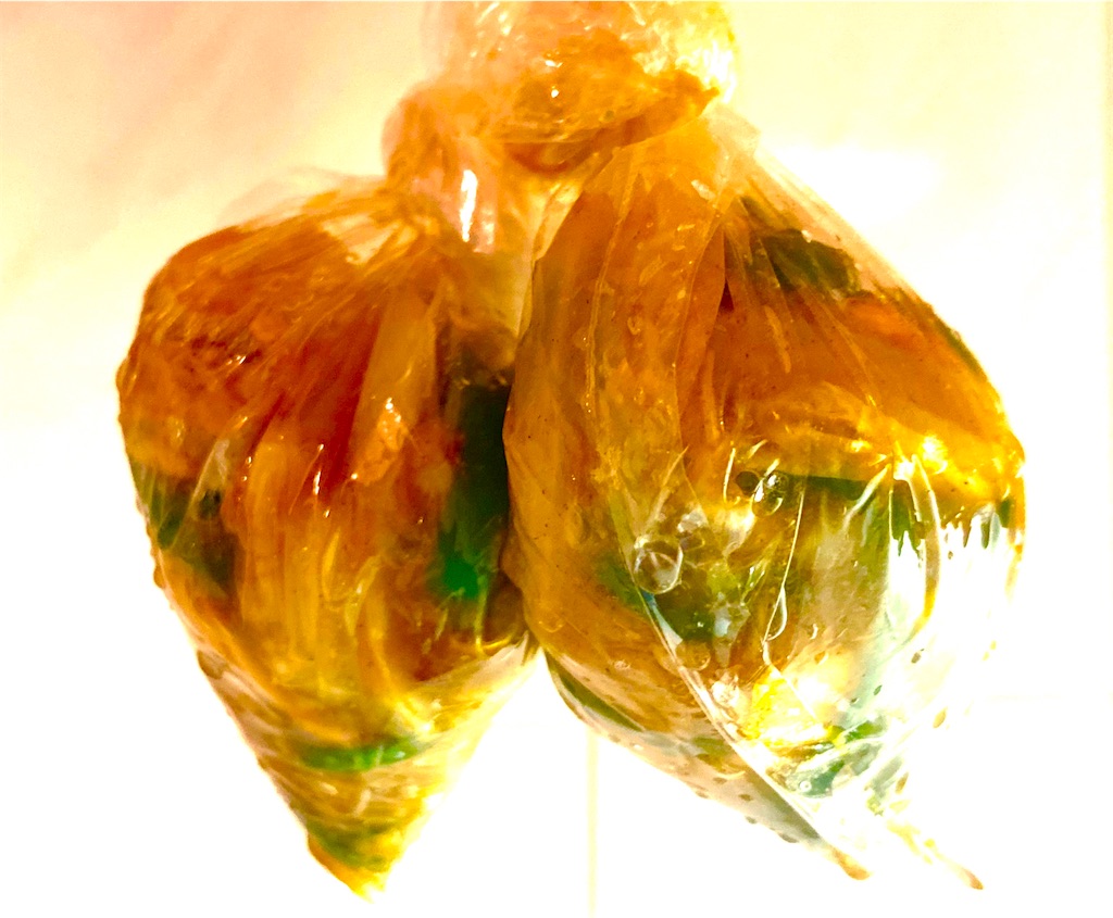 f:id:CHASSESPLEEN:20210125212407j:image