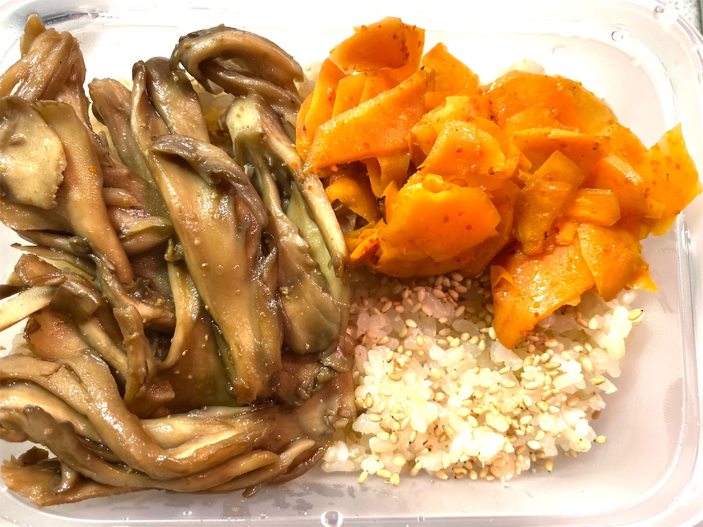 f:id:CHASSESPLEEN:20210219225829j:image