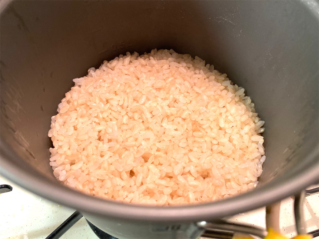 f:id:CHASSESPLEEN:20210219225837j:image