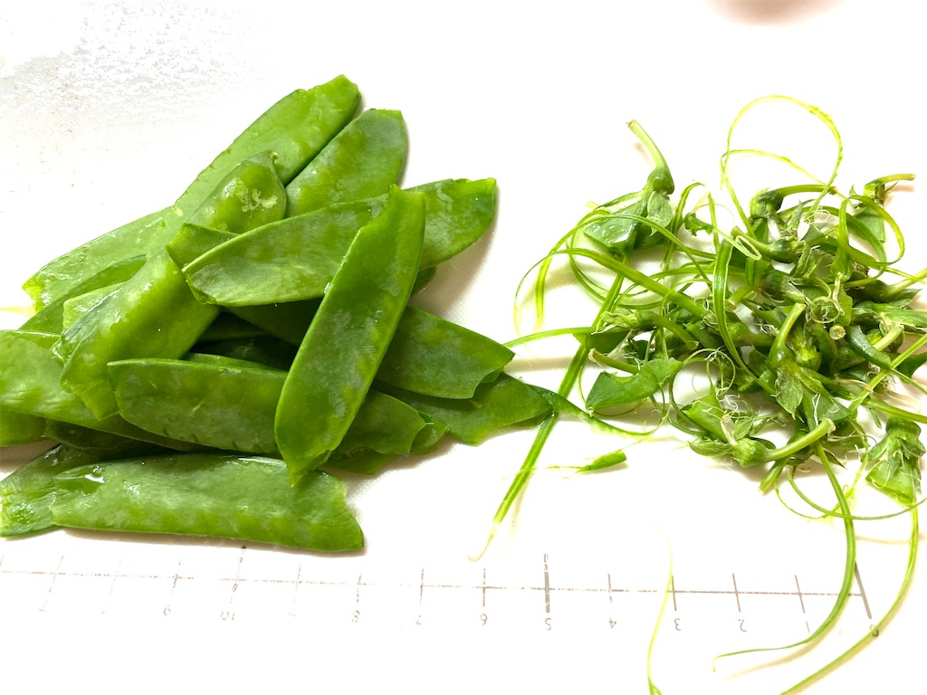 f:id:CHASSESPLEEN:20210403200822j:image