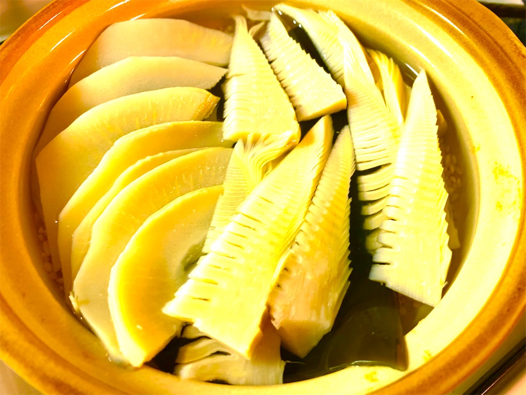 f:id:CHASSESPLEEN:20210403200830j:image