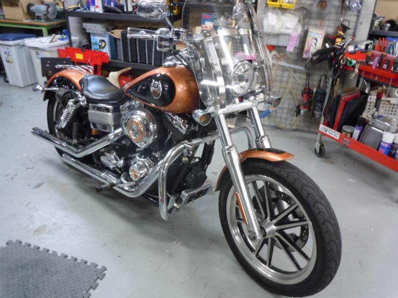 Custom Fxdl '08 FXDL CUSTOM - CHICS blog
