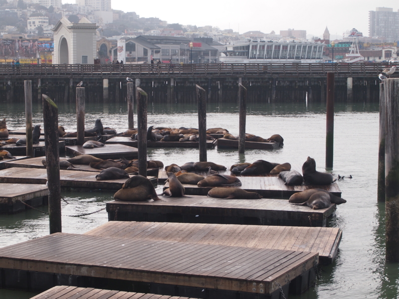 f:id:CHICS:20130205055828j:image:w640 f:id:CHICS:20130205055828j:image:w640