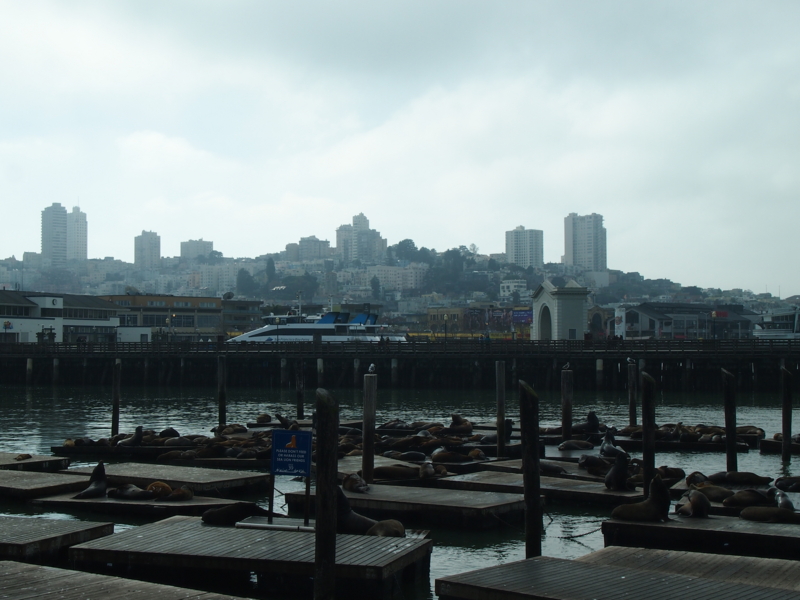 f:id:CHICS:20130205055900j:image:w640 f:id:CHICS:20130205055900j:image:w640