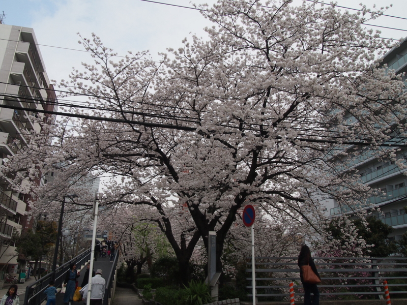 f:id:CHICS:20130324122354j:image