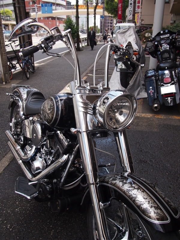 f:id:CHICS:20130427112128j:image f:id:CHICS:20130427112128j:image