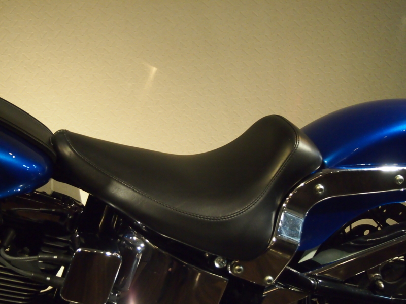 f:id:CHICS:20131005155551j:image