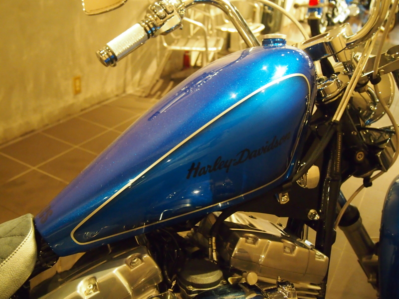 f:id:CHICS:20131117190637j:image f:id:CHICS:20131117190637j:image