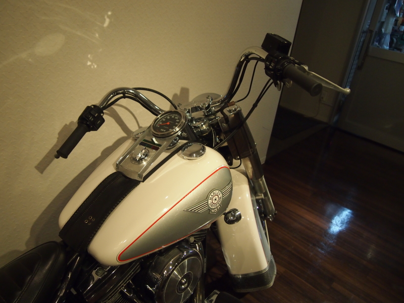 f:id:CHICS:20140216164730j:image