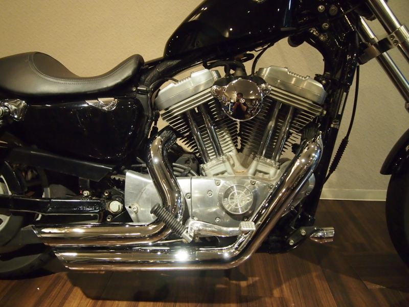 f:id:CHICS:20140502203435j:image f:id:CHICS:20140502203435j:image