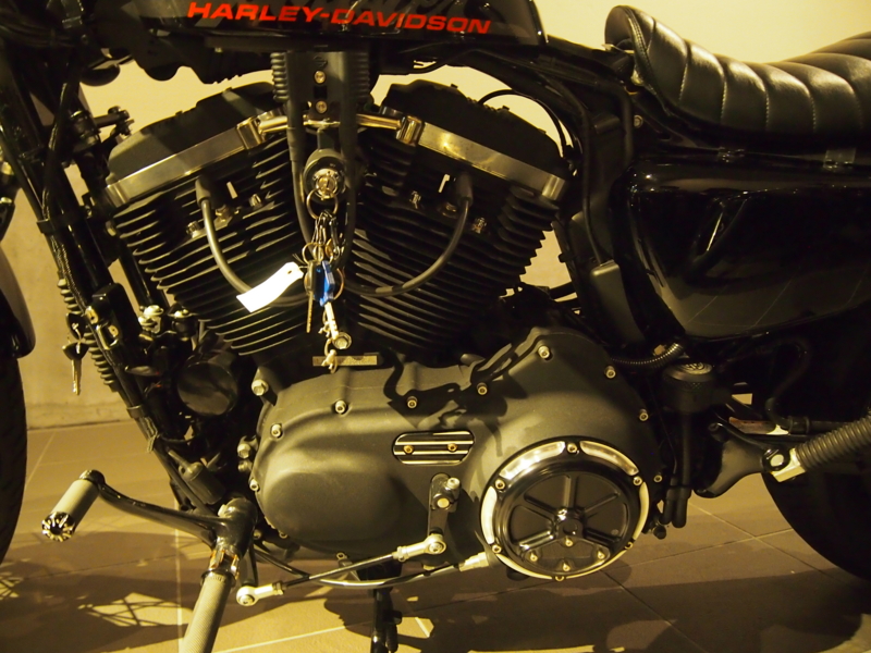 f:id:CHICS:20140531220251j:image f:id:CHICS:20140531220251j:image