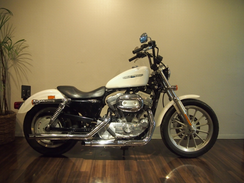 f:id:CHICS:20140613235557j:image f:id:CHICS:20140613235557j:image