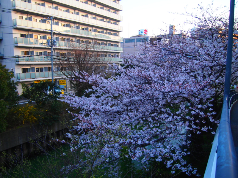 f:id:CHICS:20150331175428j:image