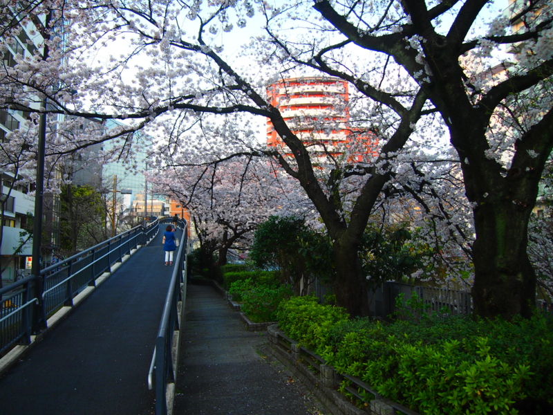 f:id:CHICS:20150331175534j:image