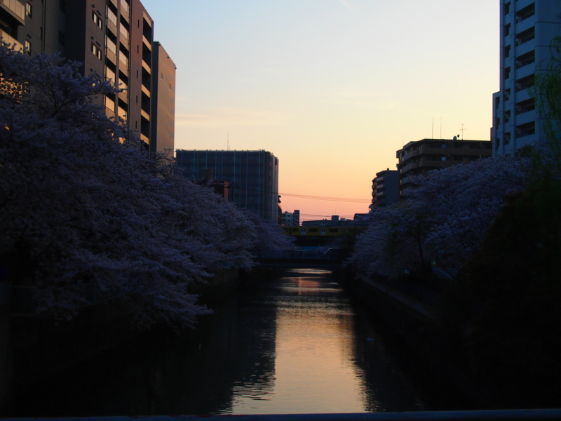 f:id:CHICS:20150331175656j:image