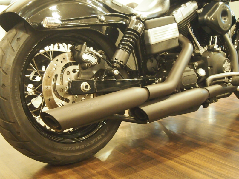 f:id:CHICS:20150516131857j:image