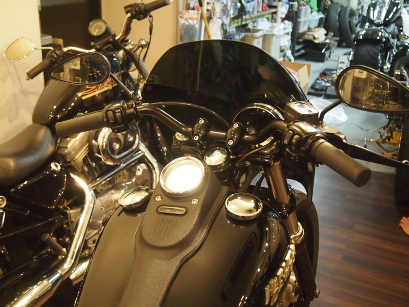 f:id:CHICS:20150516131906j:image