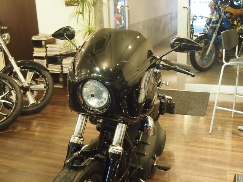 f:id:CHICS:20150516131950j:image