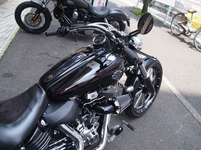 f:id:CHICS:20150613114108j:image