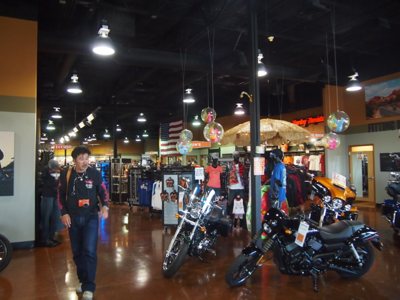 f:id:CHICS:20150620083110j:image