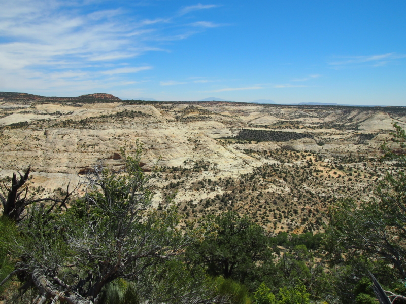 f:id:CHICS:20150621035201j:image f:id:CHICS:20150621035201j:image