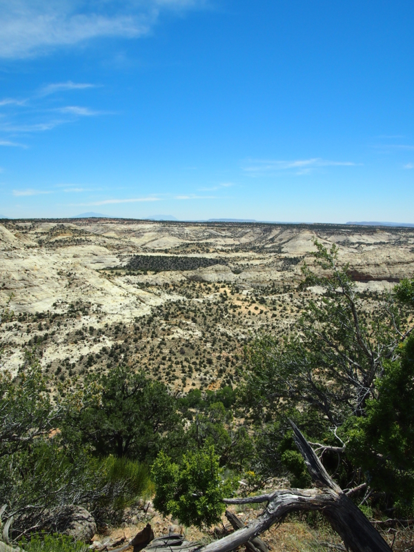 f:id:CHICS:20150621035205j:image f:id:CHICS:20150621035205j:image