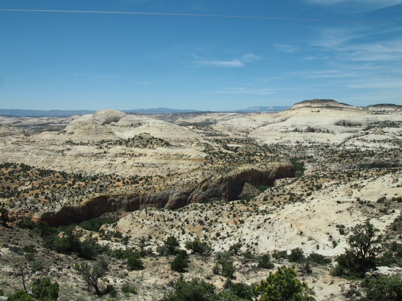 f:id:CHICS:20150621035401j:image f:id:CHICS:20150621035401j:image