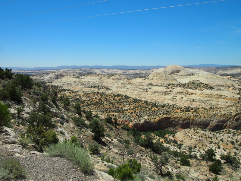 f:id:CHICS:20150621035403j:image f:id:CHICS:20150621035403j:image