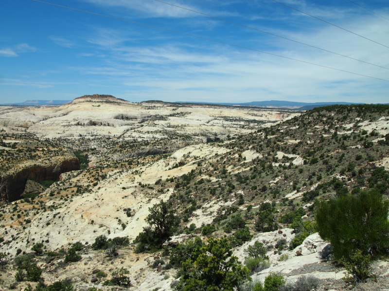 f:id:CHICS:20150621035411j:image f:id:CHICS:20150621035411j:image