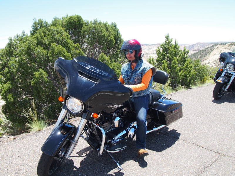 f:id:CHICS:20150621040207j:image f:id:CHICS:20150621040207j:image