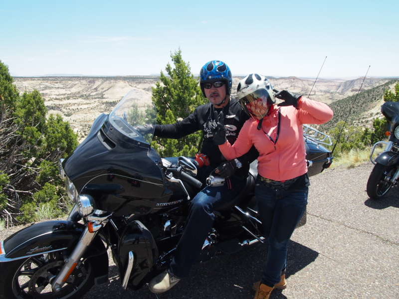 f:id:CHICS:20150621040215j:image f:id:CHICS:20150621040215j:image