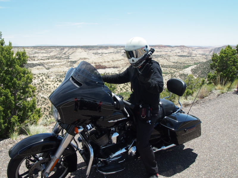 f:id:CHICS:20150621040222j:image f:id:CHICS:20150621040222j:image